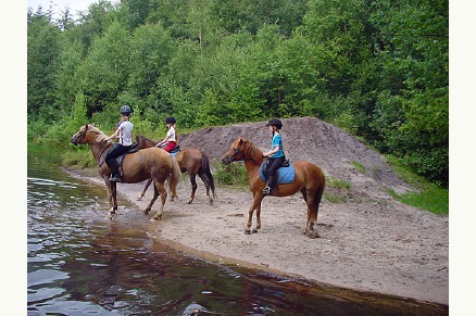 Bungalowpark de Bronzen Emmer Drenthe met paardenstalling en manege VMP019